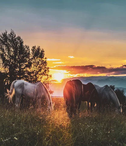 Kentucky