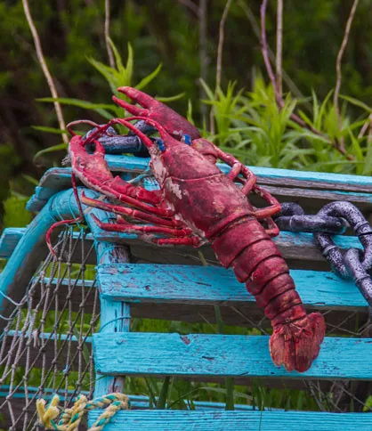 Maine