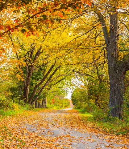 Prince Edward Island