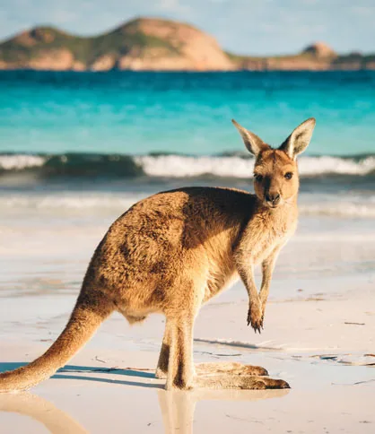 Western Australia
