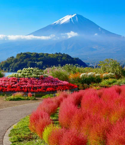Yamanashi