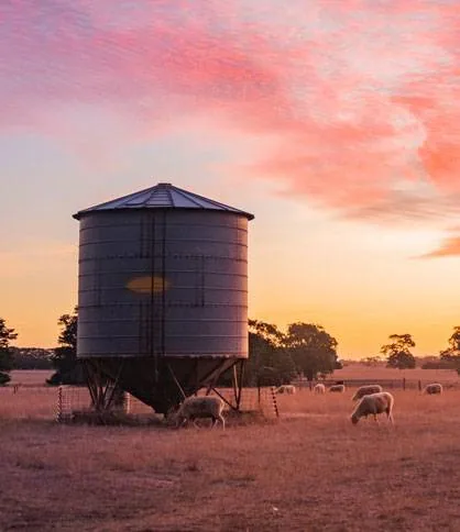 Clare Valley
