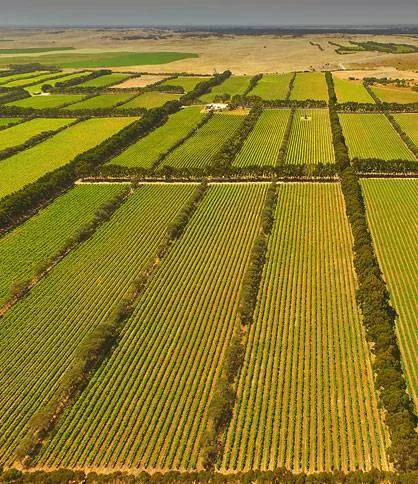 Coonawarra