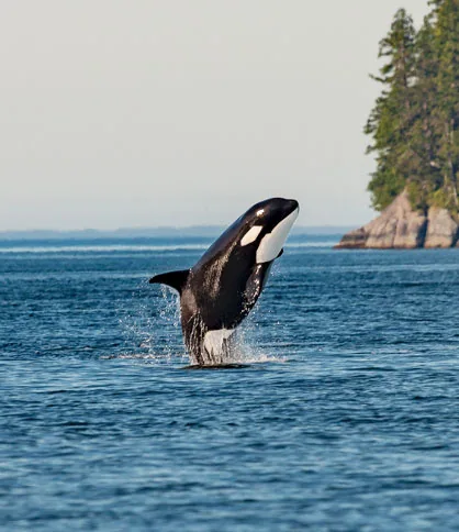 Gulf Islands
