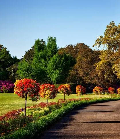McLaren Vale