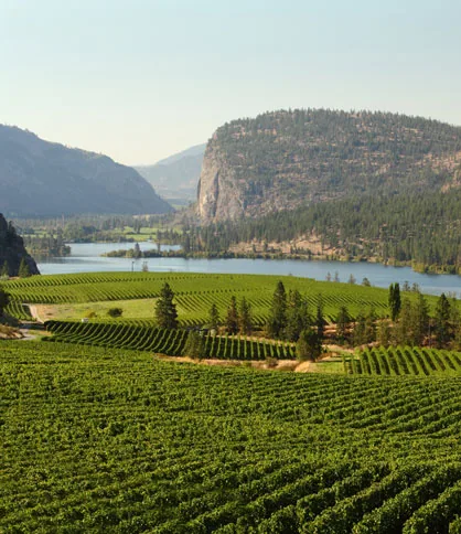 Okanagan Valley