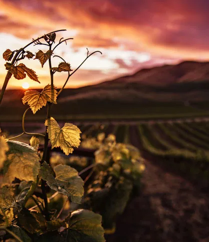 Similkameen Valley