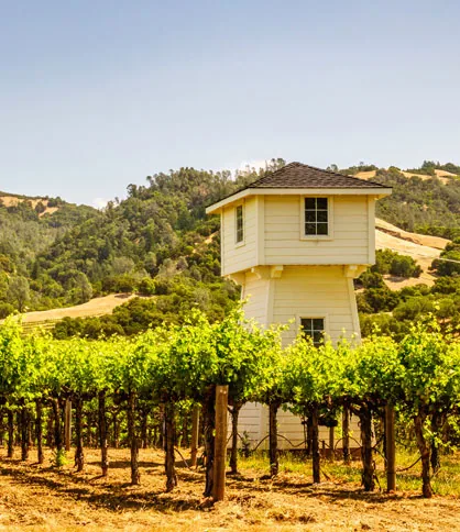 Sonoma County