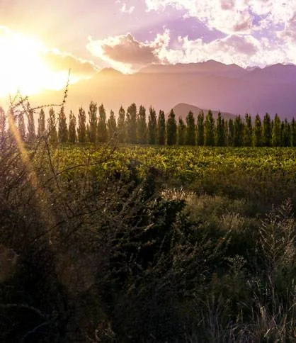Uco Valley (Valle de Uco)