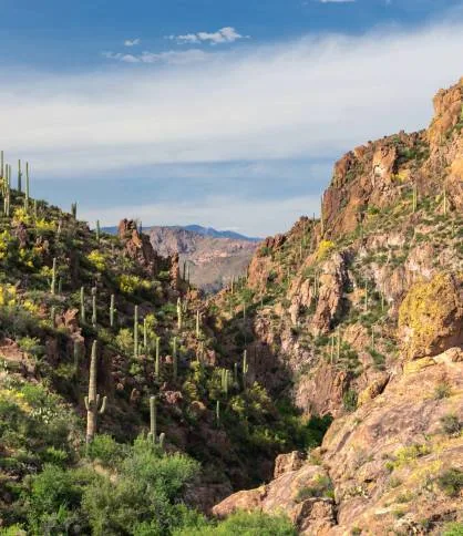 Verde Valley