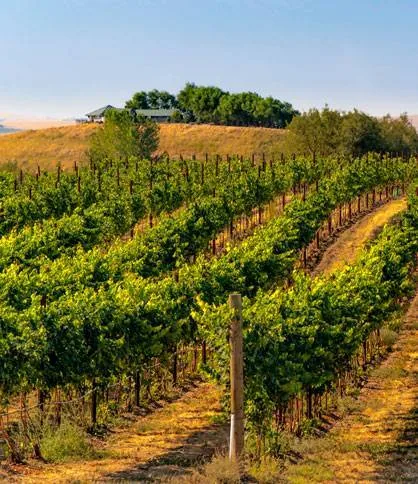 Walla Walla Valley